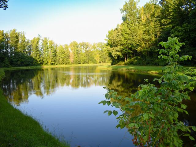 House for sale in Rossville, West Tennessee