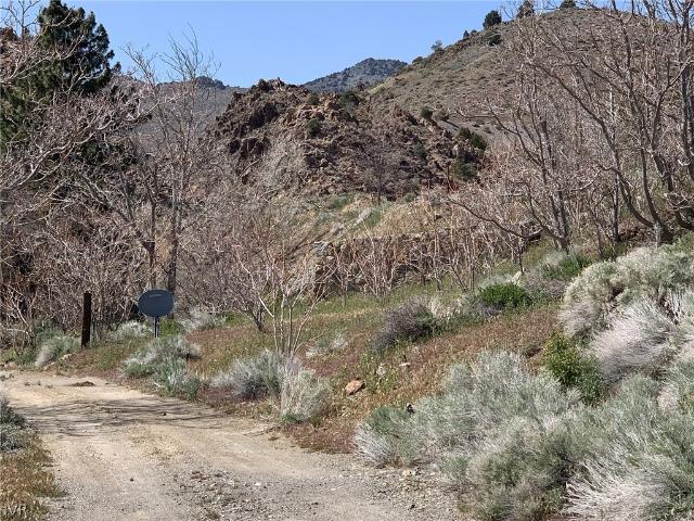 Land for sale in Nevada