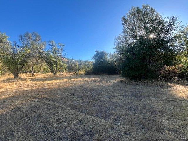 Land for sale in Lake, California