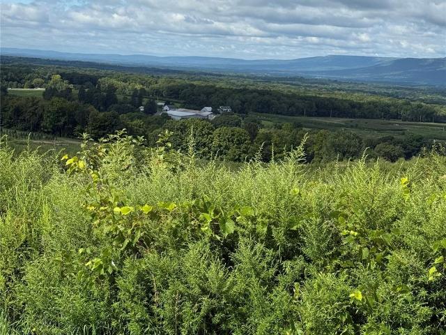 Land for sale in Modena, New York