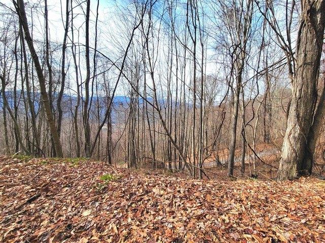 Land for sale in Haywood, North Carolina