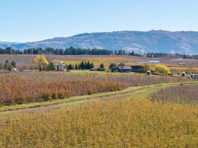 Property for sale in Otakou
