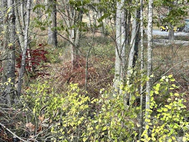 Land for sale in Elkins, West Virginia