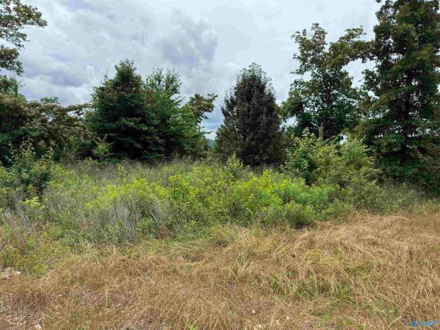 Land for sale in Etowah, Alabama