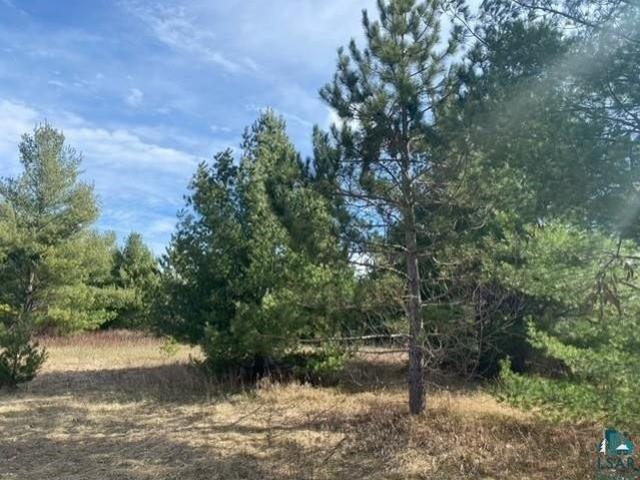 Land for sale in Lake Nebagamon, Wisconsin