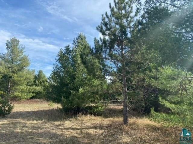 Land for sale in Lake Nebagamon, Wisconsin