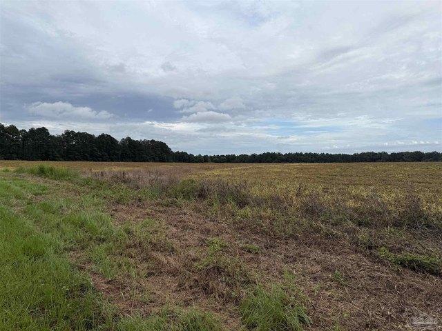Land for sale in Century, Florida