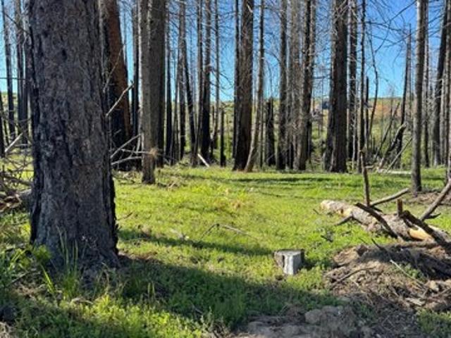 Land for sale in Grizzly Flats, California