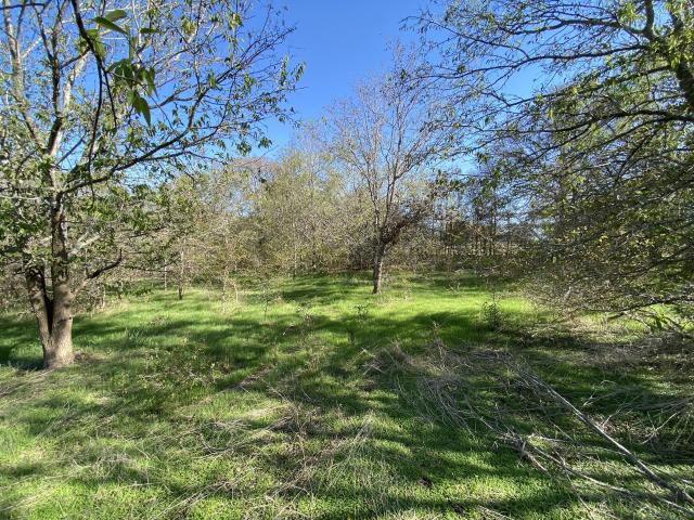 Land for sale in Texas