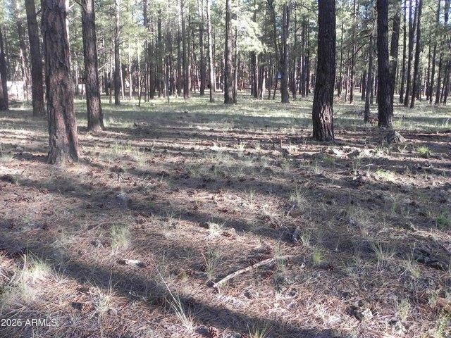 Land for sale in Williams, Arizona