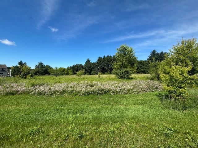 Land for sale in Mchenry, Illinois