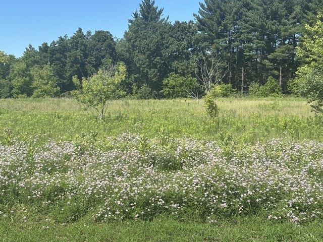 Land for sale in Mchenry, Illinois