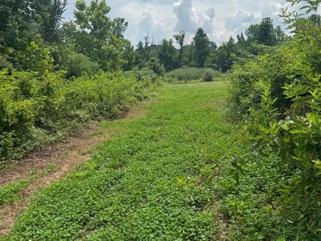 Land for sale in Kentucky