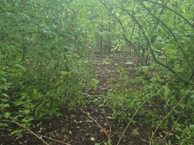 Land for sale in Huntsville, Alabama
