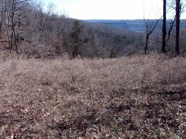 Land for sale in Ark