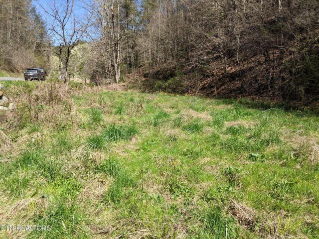 Land for sale in Tennessee