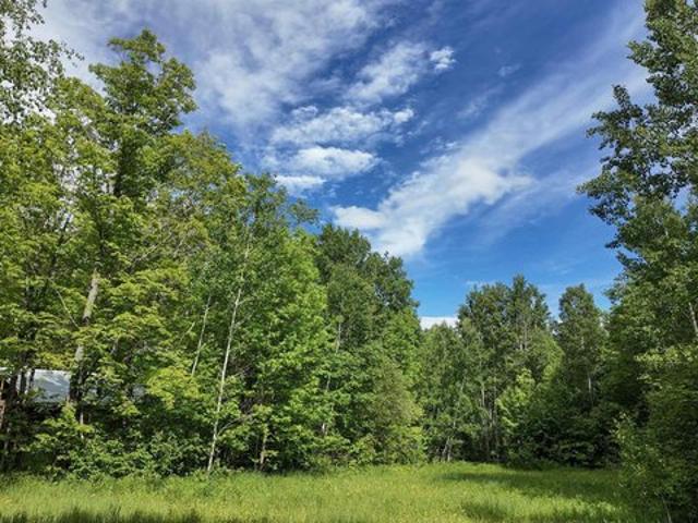 House for sale in Grand Marais, Minnesota