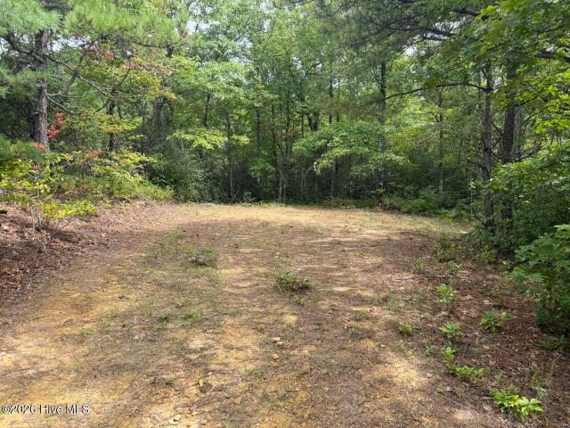 Land for sale in Andrews, North Carolina