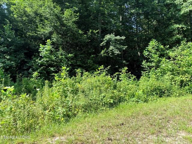 Land for sale in Tennessee