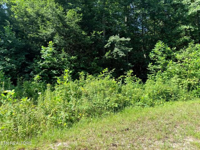 Land for sale in Tennessee