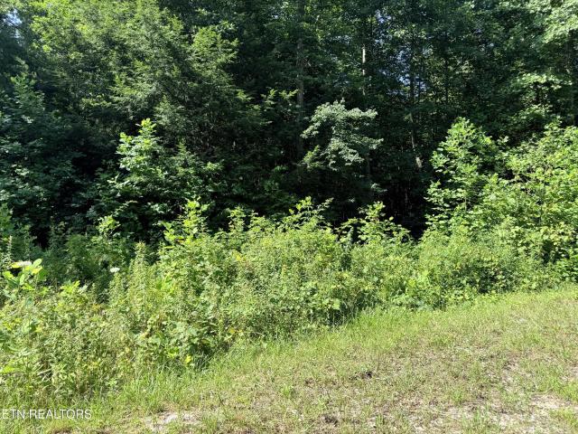 Land for sale in Tennessee