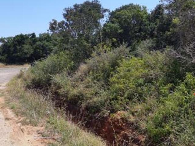 Land for sale in Bushmans River Mouth, Eastern Cape