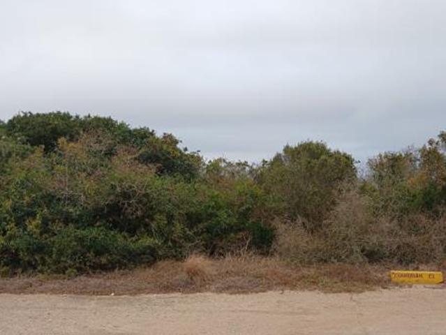 Land for sale in Bushmans River Mouth, Eastern Cape