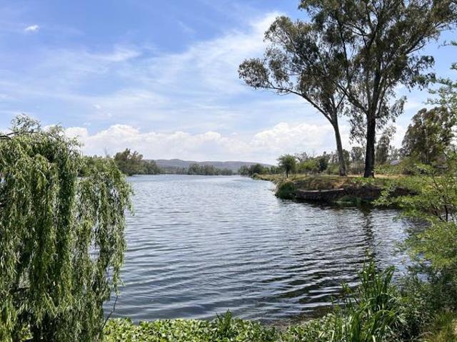 Land for sale in Koppies, Free State