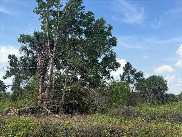 Land for sale in Clewiston, Florida