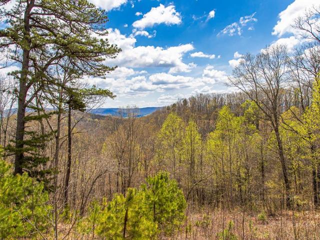 Land for sale in Virginia