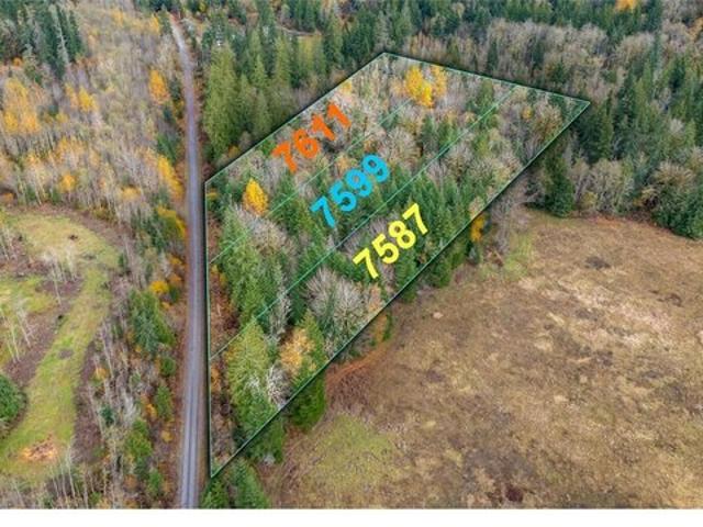 Land for sale in Deming, Washington