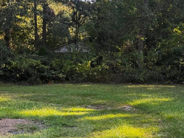 Land for sale in Gautier, Jackson County