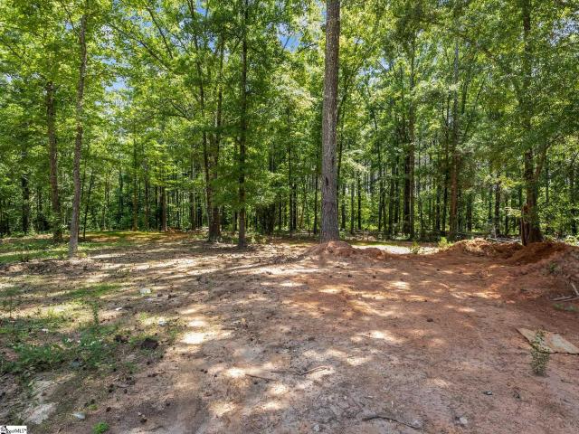 Land for sale in Donalds, South Carolina
