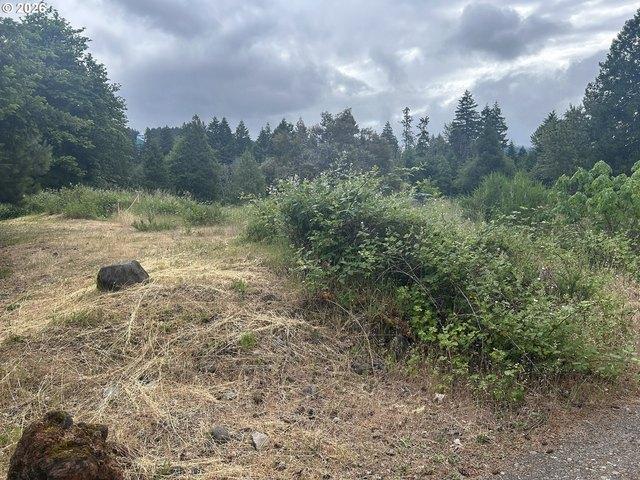 Land for sale in Oregonia