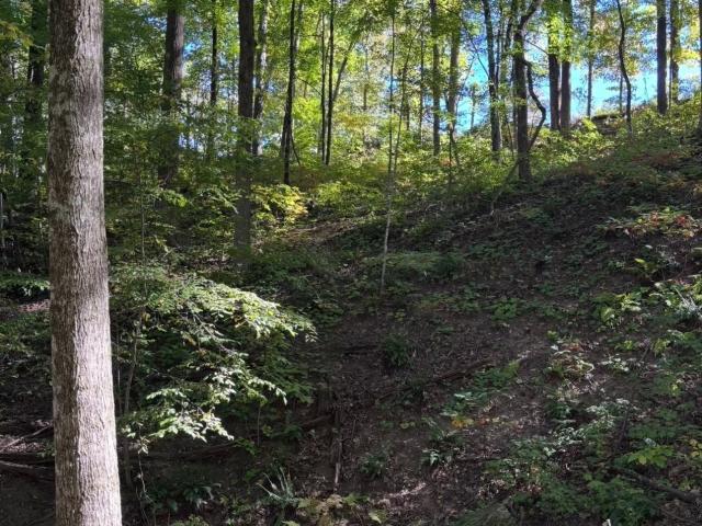 Land for sale in Sweetwater Lake, Nineveh