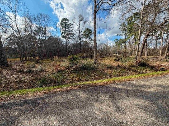 Land for sale in Mauriceville, Texas
