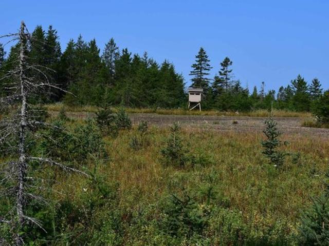 Land for sale in Rapid River, Michigan