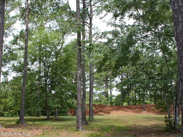 Land for sale in Ocean Isle Beach, North Carolina