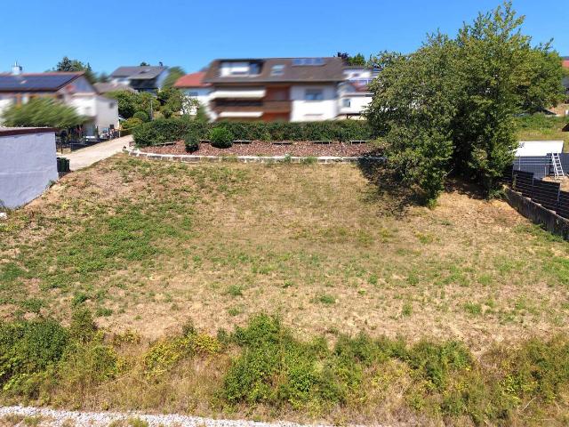 Erdgeschosswohnung kaufen in Neckarbischofsheim, Rhein-Neckar-Kreis