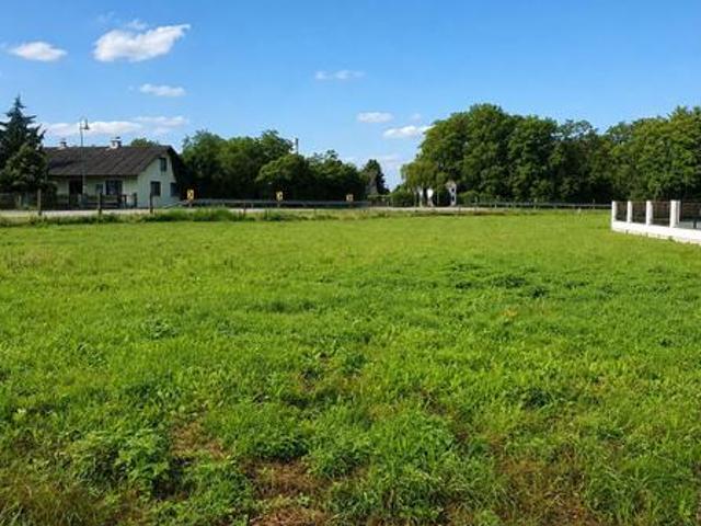 Grundstück kaufen in Pischelsdorf, Götzendorf an der Leitha