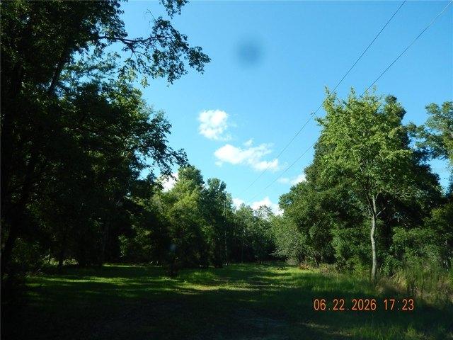 Land for sale in Fort White, Florida
