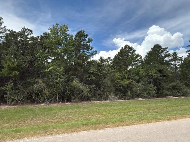 Land for sale in Montgomery, Texas