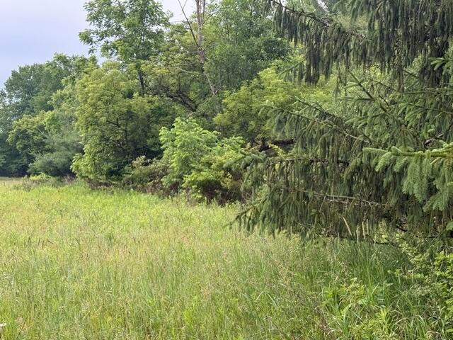 Land for sale in Michigan