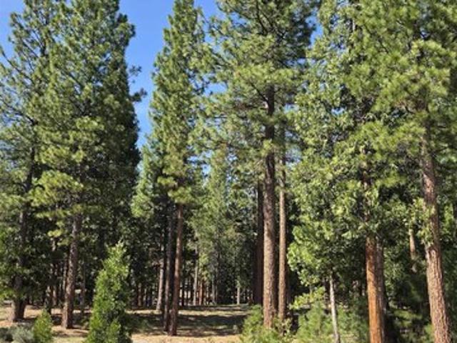 Land for sale in Portola, California