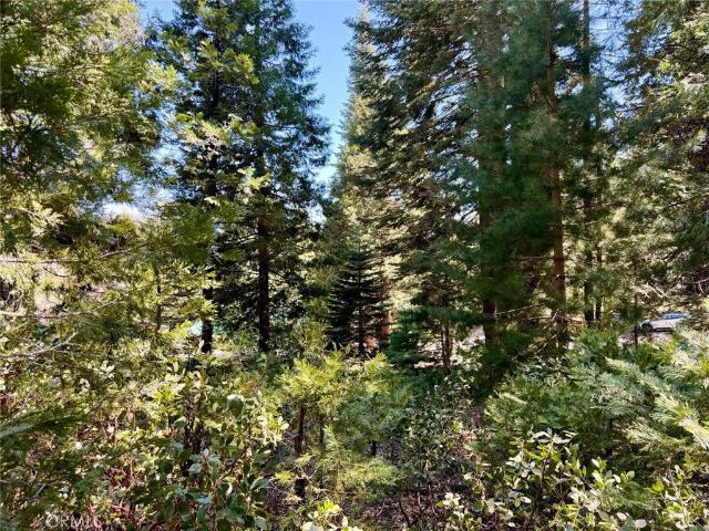 Land for sale in Fish Camp, California