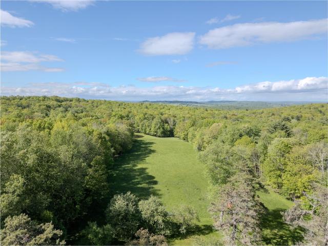 House for sale in Callicoon, New York