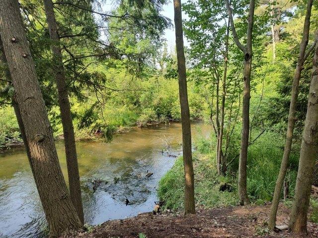 Land for sale in Free Soil, Michigan