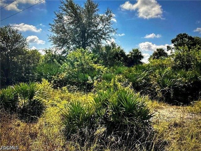 Land for sale in Labelle, Florida
