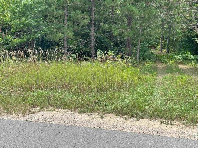 Land for sale in Michigan