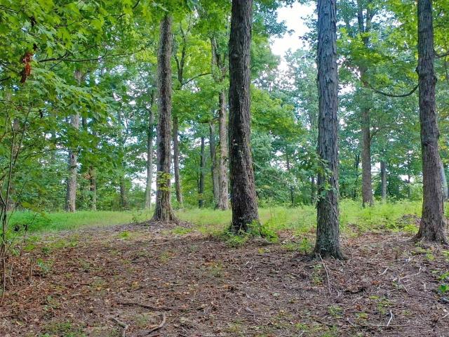 Land for sale in Tennessee